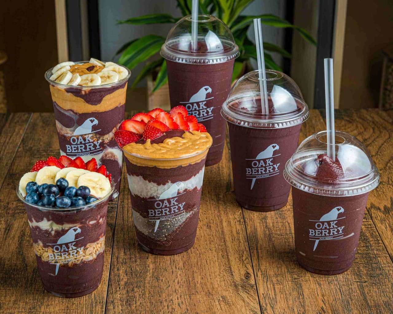 Offre Camby chez OAK BERRY